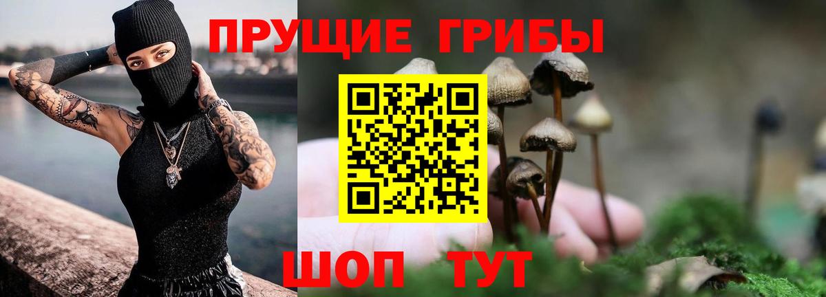 Псилоцибиновые грибы ЛСД  Вход с VPN  Карталы  Псилоцибиновые грибы Magic Shrooms 